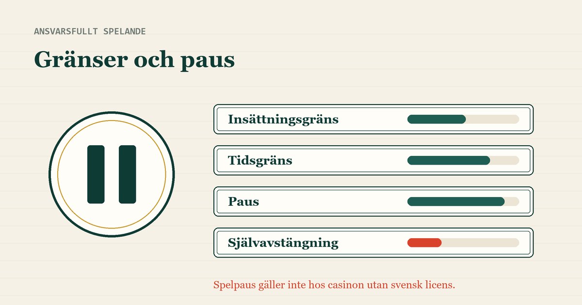 Pausknapp och verktyg: insättningsgräns, tidsgräns, paus och självavstängning
